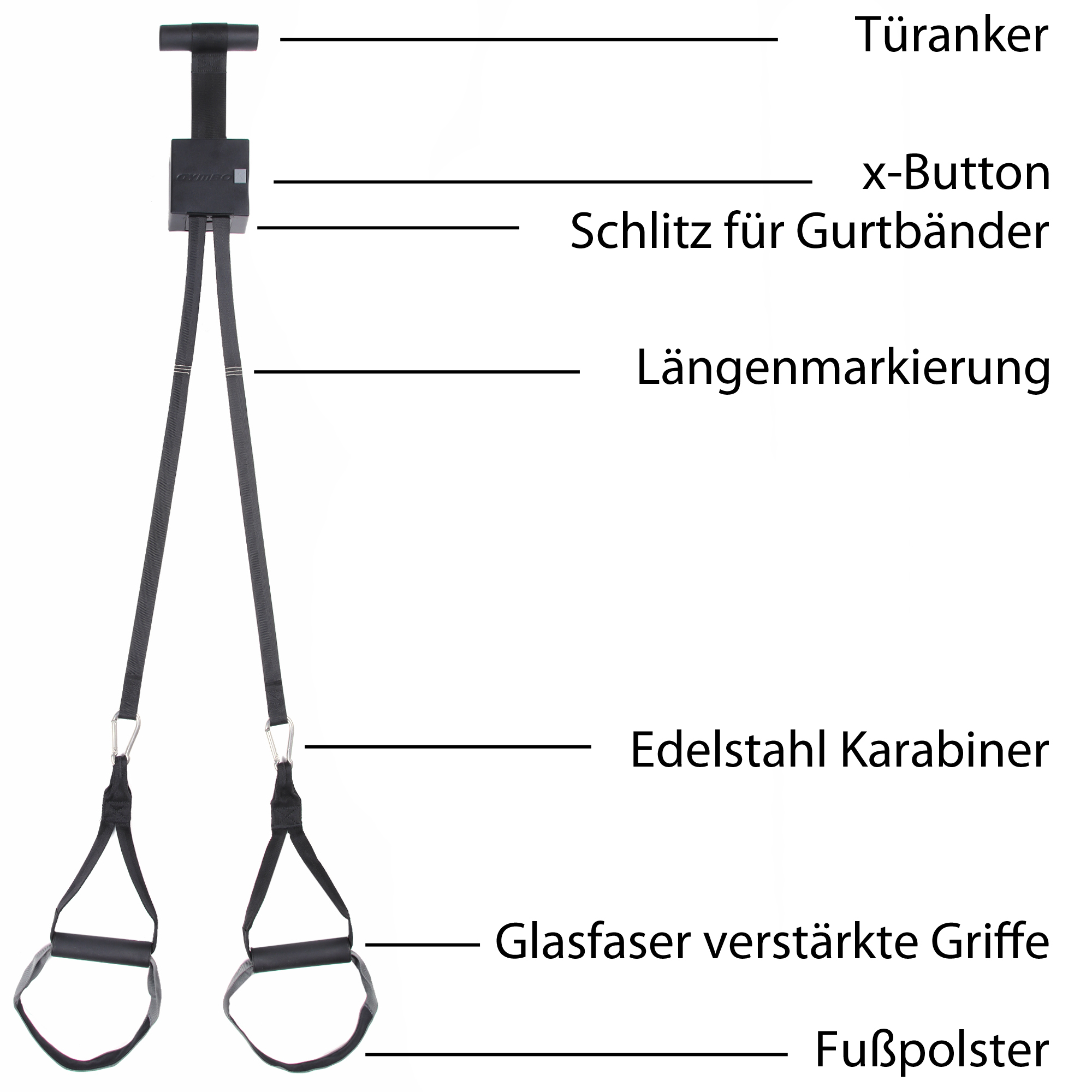 The Gymbox Suspension Trainer Infographic