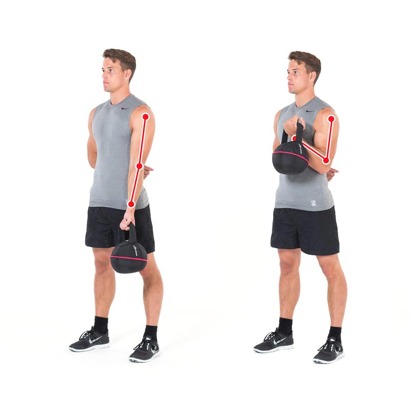 Kettlebell bicep workout sale